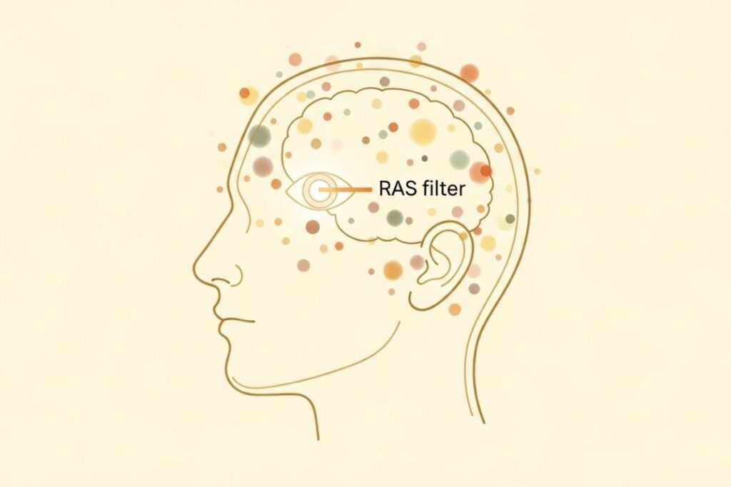 How RAS Works With Law of Attraction Quotes Simple illustration showing how repeated law of attraction quotes from the secret book help train brain attention filter